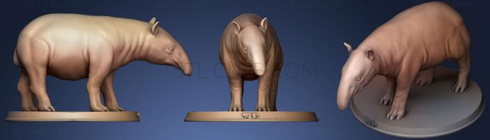 3D model Tapir (STL)